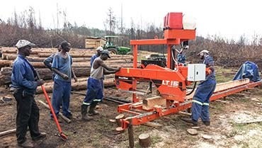 Zimbabwean Sawmiller Shows Way to Sawmilling Success.